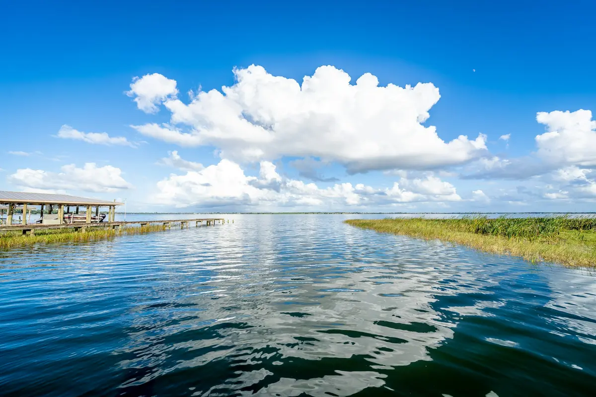Grassy shoreline and mature trees beside a Florida lake