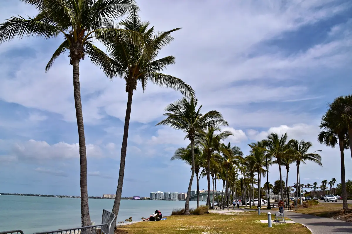 Palm-lined coastal road in Florida