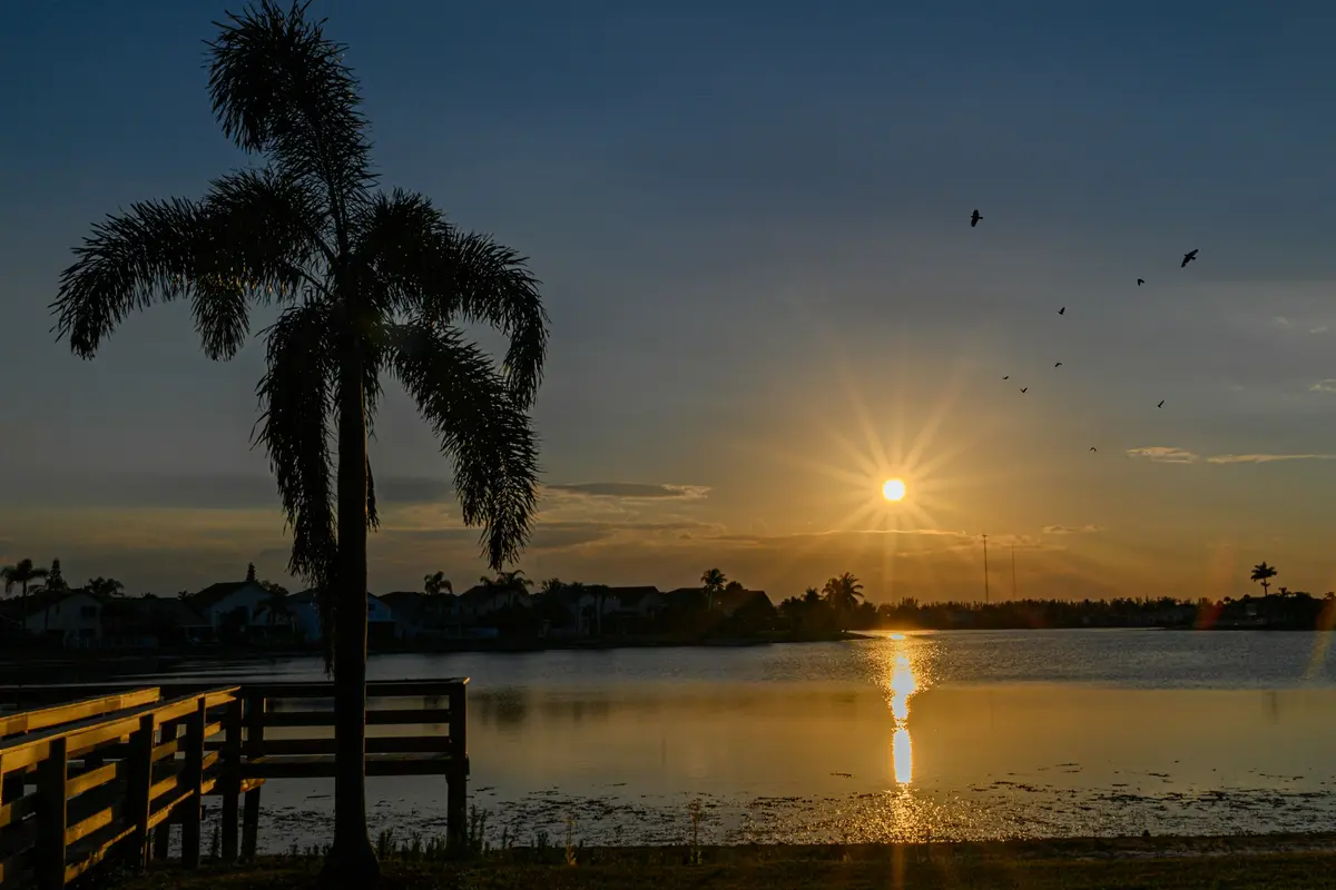 Florida waterfront lined by palms and mature trees at sunset