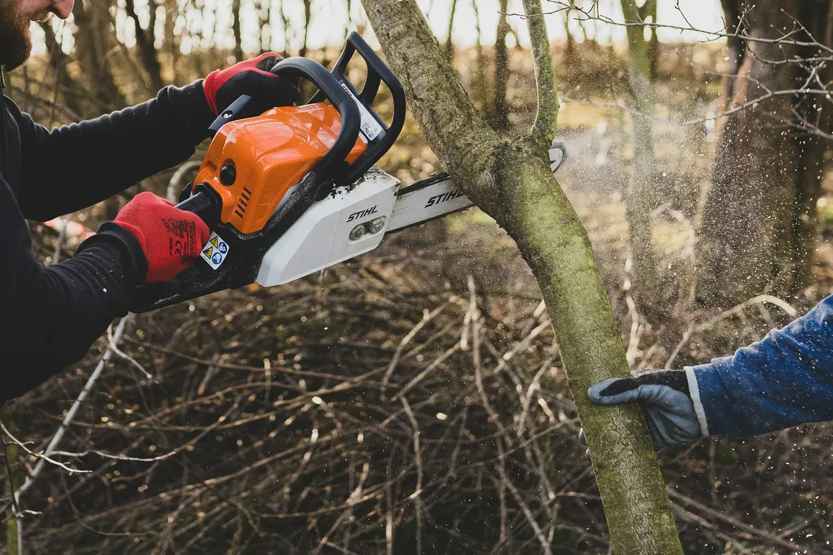 Worker sectioning a downed tree trunk with a chainsaw